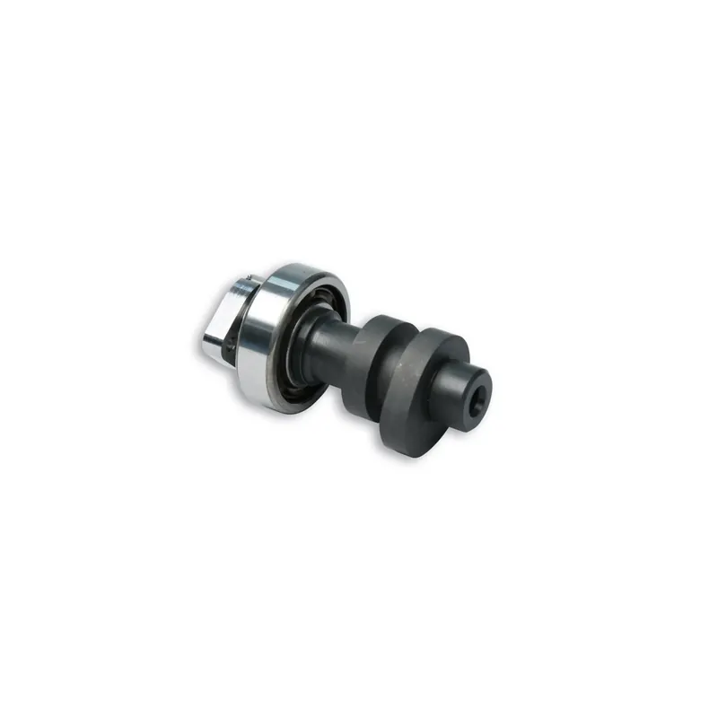Árbol De Levas Malossi Power Cam Honda Sh 300 5914657