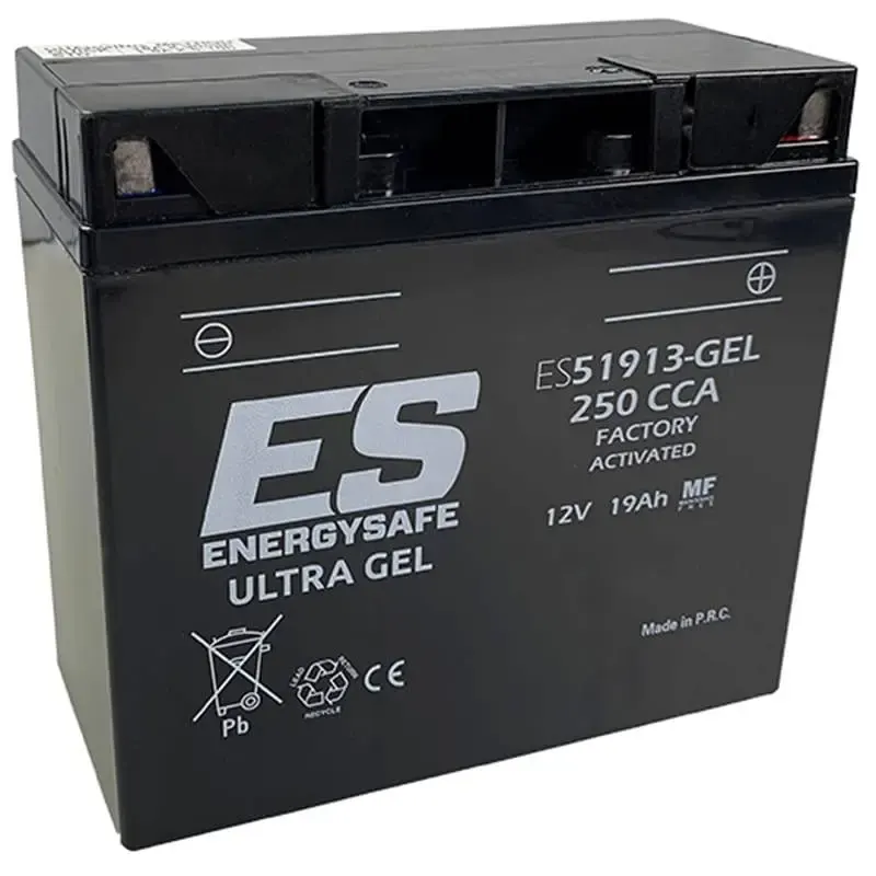 Batería Energysafe ES51913 Gel 12V 19Ah BMW