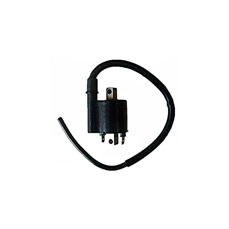 Bobina 12V 3 Ohm - 2 Fastons Con Cable 40 Cm. - 04174320