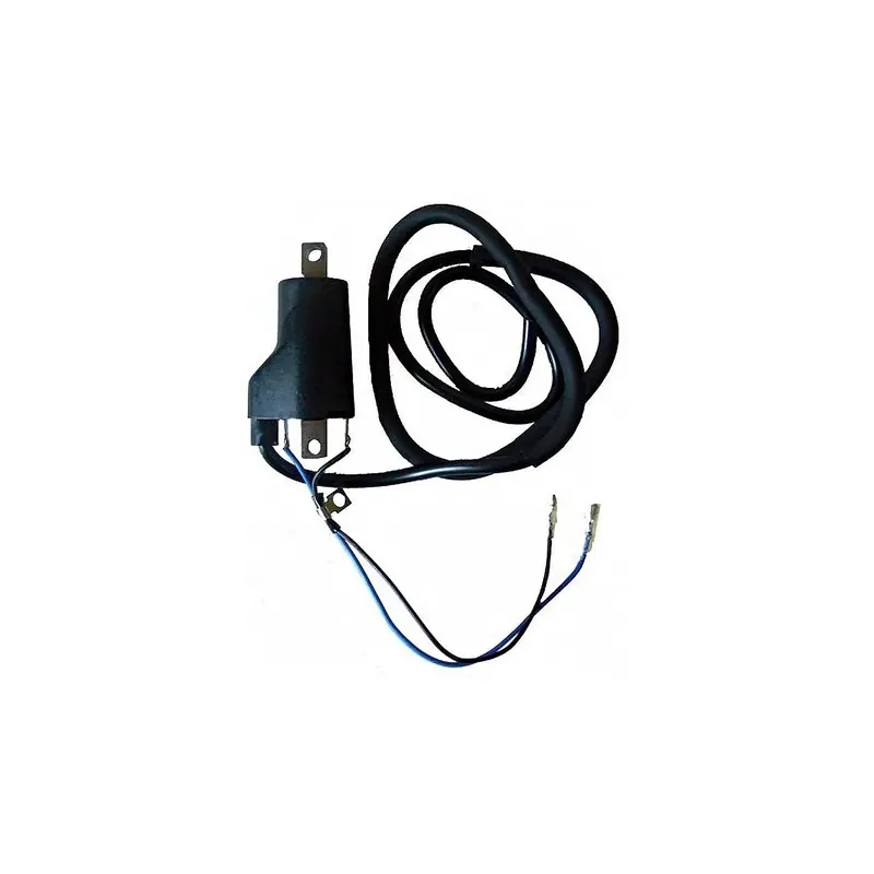 Bobina 12V - Cc - 4.0 Ohm - 2 Fastons - Con Cable - 04004761