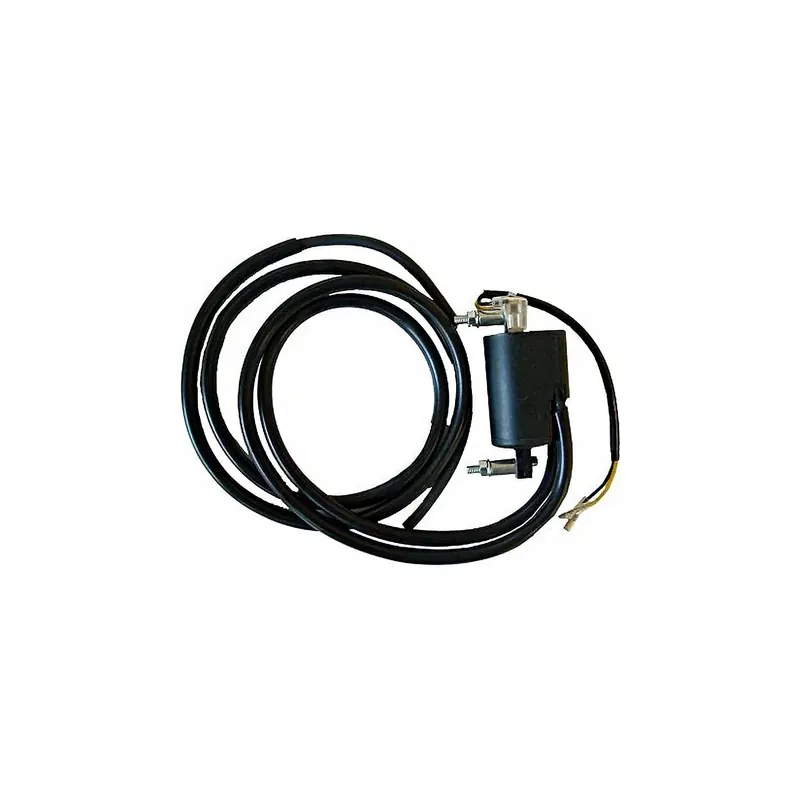 Bobina 12V - Cc - 4.3 Ohm - Con Cable 100 Cm - 04004750