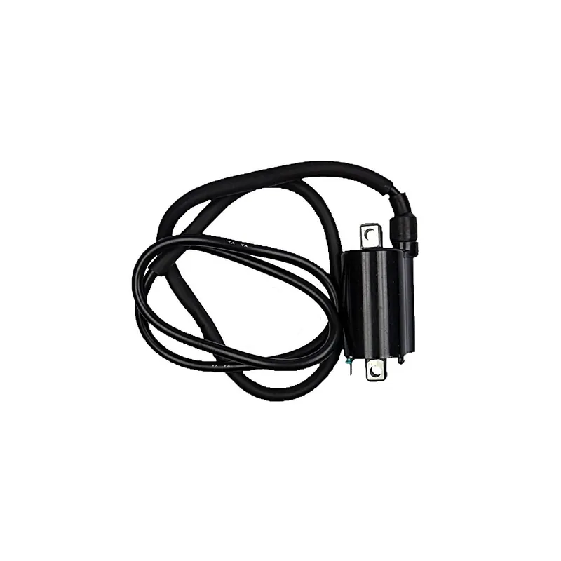 Bobina 12V - Cc - 4.5 Ohm - 2 Fastons - Con Cable - 04010559
