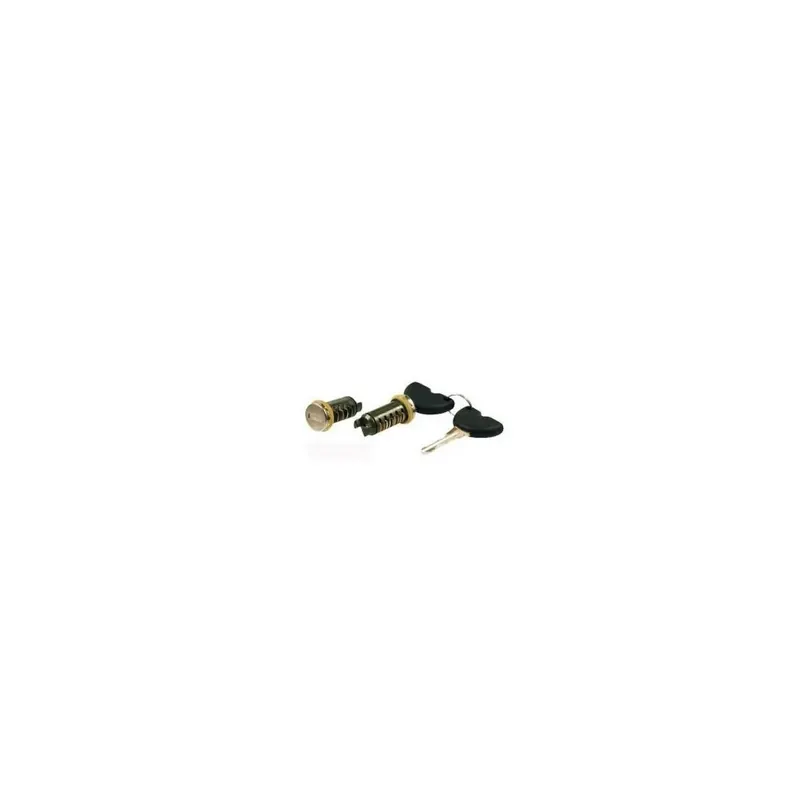Bombines De Cerradura Para Modelos Piaggio - RMS121790020