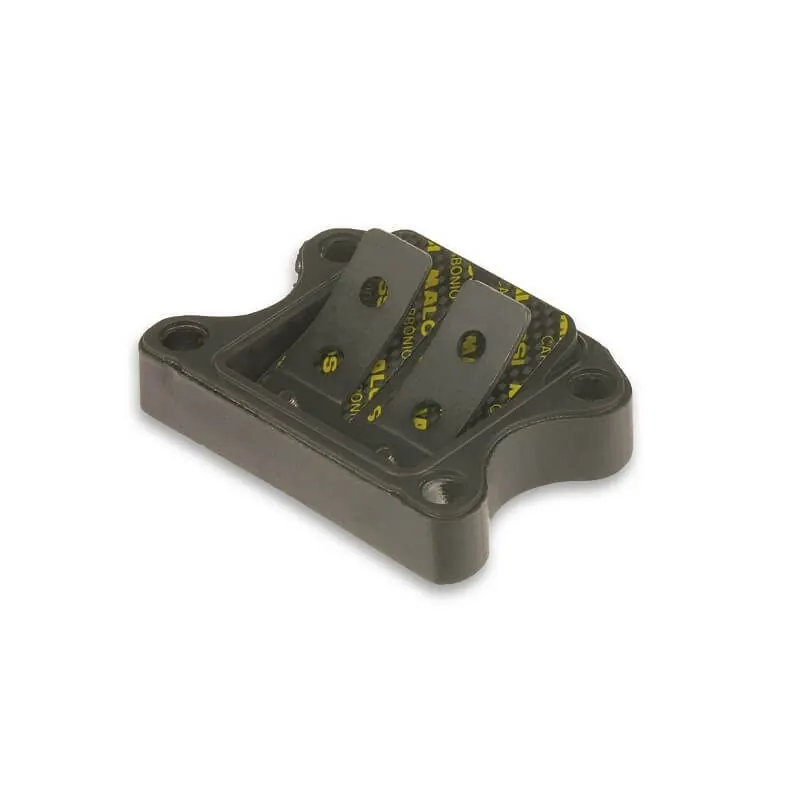 Caja de láminas Peugeot Speedfight Malossi VL9 carbono