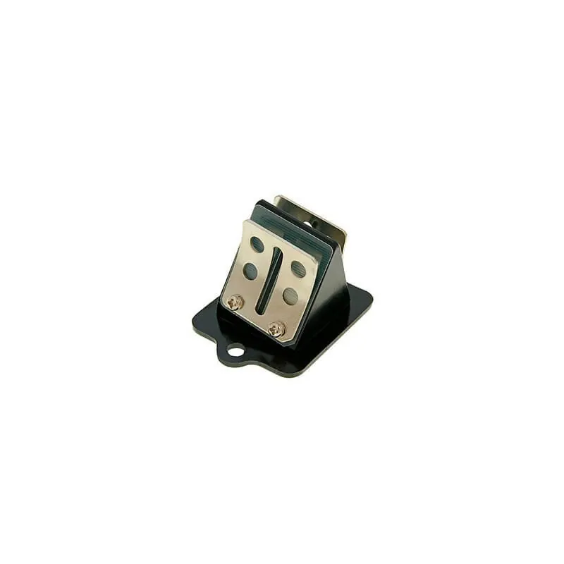 Caja de láminas Piaggio 50 Fibra de vidrio