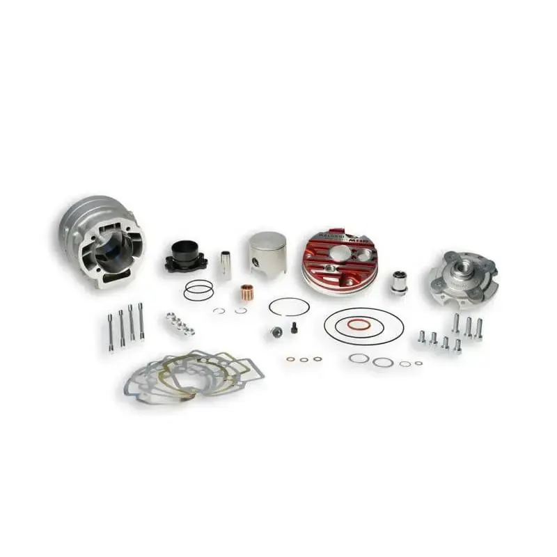 Cilindro Malossi Piaggio/Gilera 50 3115349