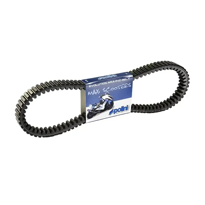 Correa De Transmisión Polini 248.080 Piaggio-Gilera 500