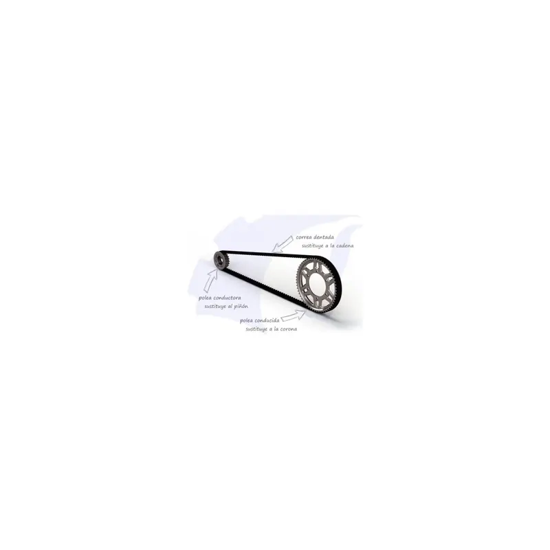 Correa Dentada Transmision BMW F800 S/ST
