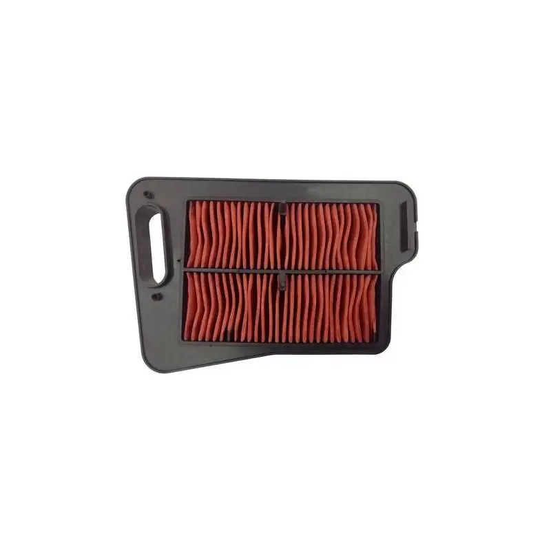 Filtro Aire Champion CAF2401