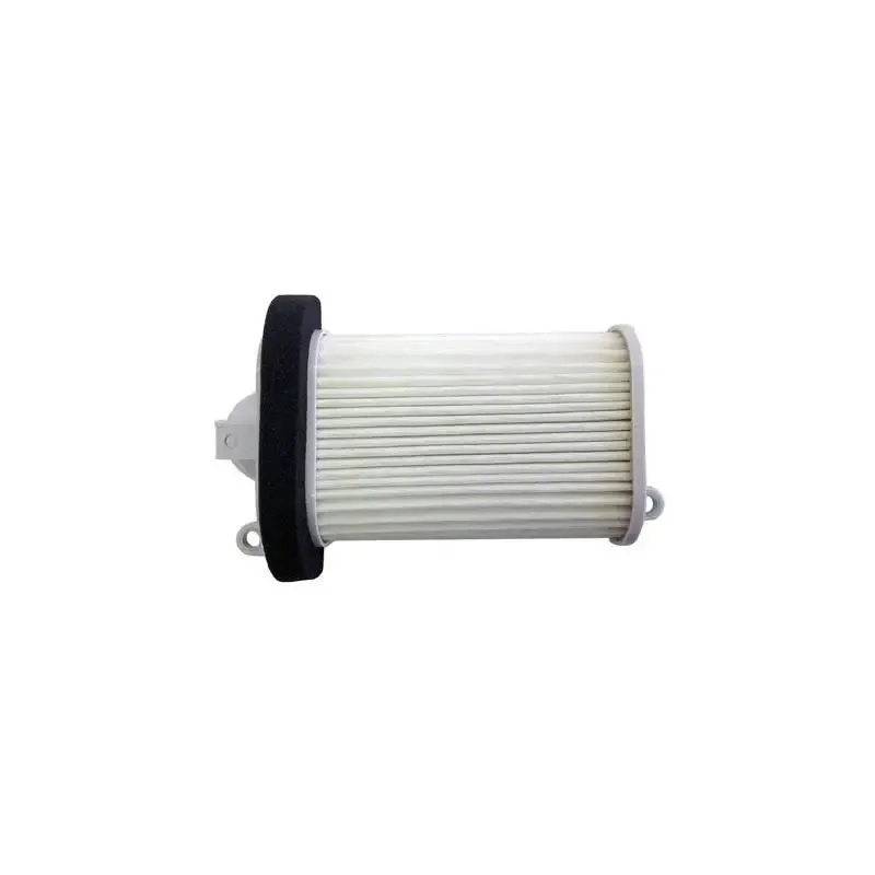 Filtro Aire Champion CAF3508
