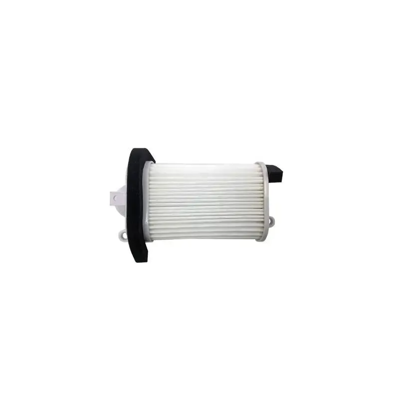 Filtro Aire Champion CAF3509