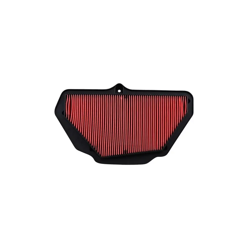 Filtro de aire Champion para moto Suzuki CAF1925
