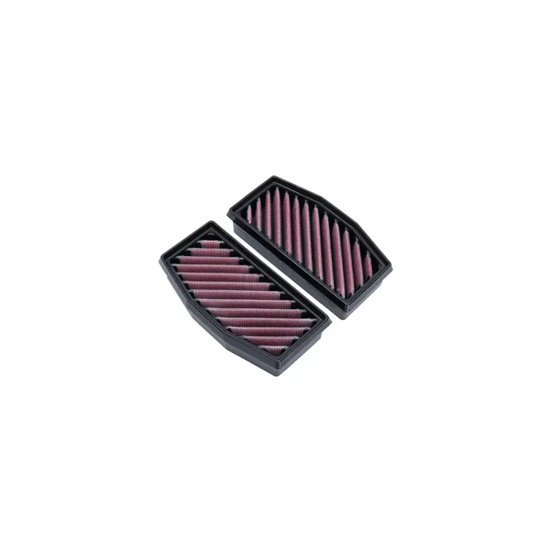 Filtro de aire DNA para BMW R 1300 GS 2024