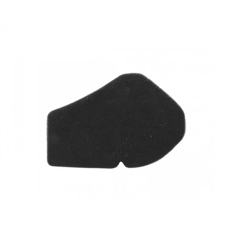 Filtro de aire Suzuki Burgman 125/150 02-06