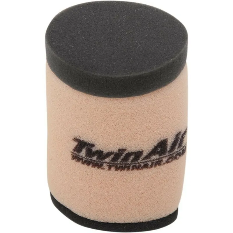 Filtro de aire Twin Air 156061FR