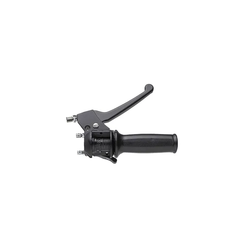 Kit de acelerador y maneta con soporte 0180.90