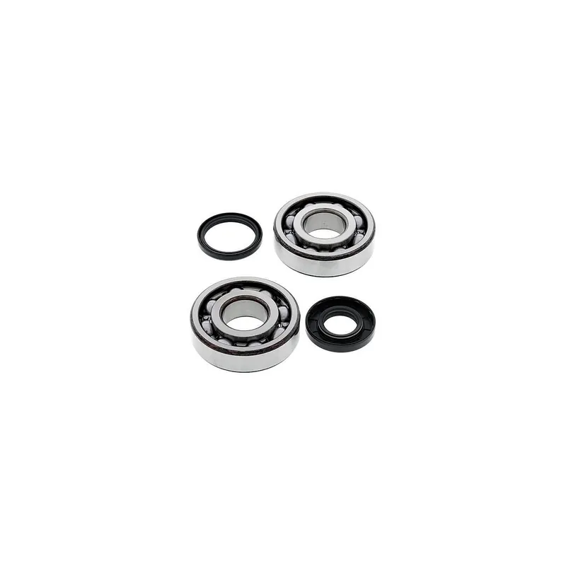 Kit de rodamientos cigeñal All Balls 241107