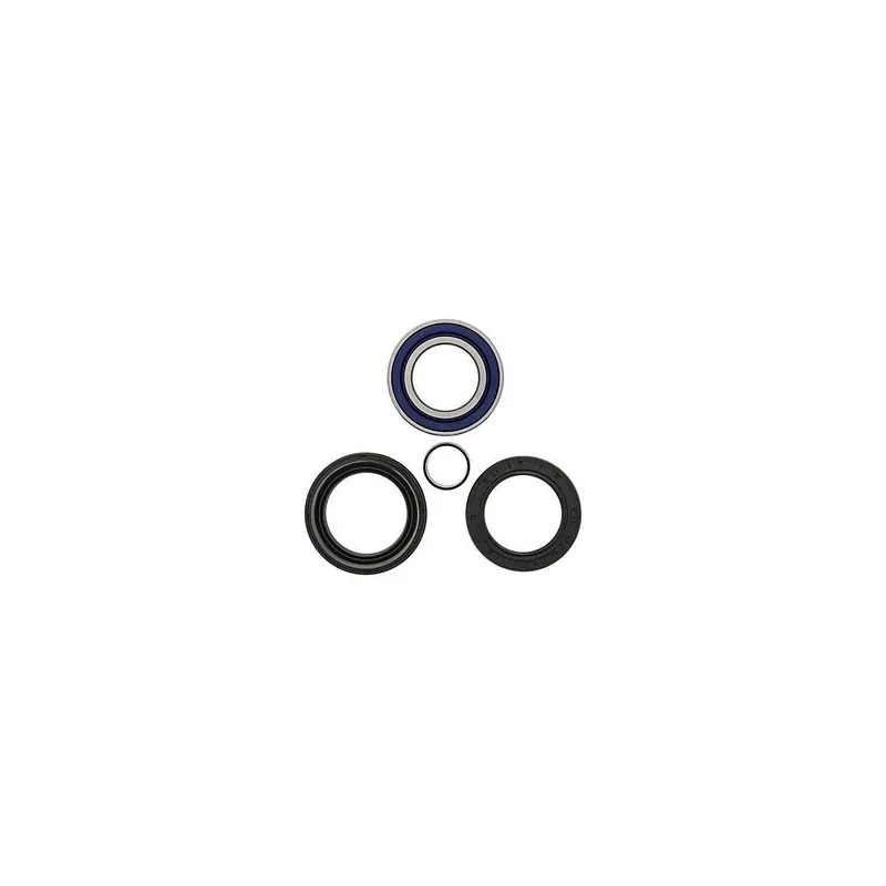 Kit de rodamientos rueda All Balls 251005