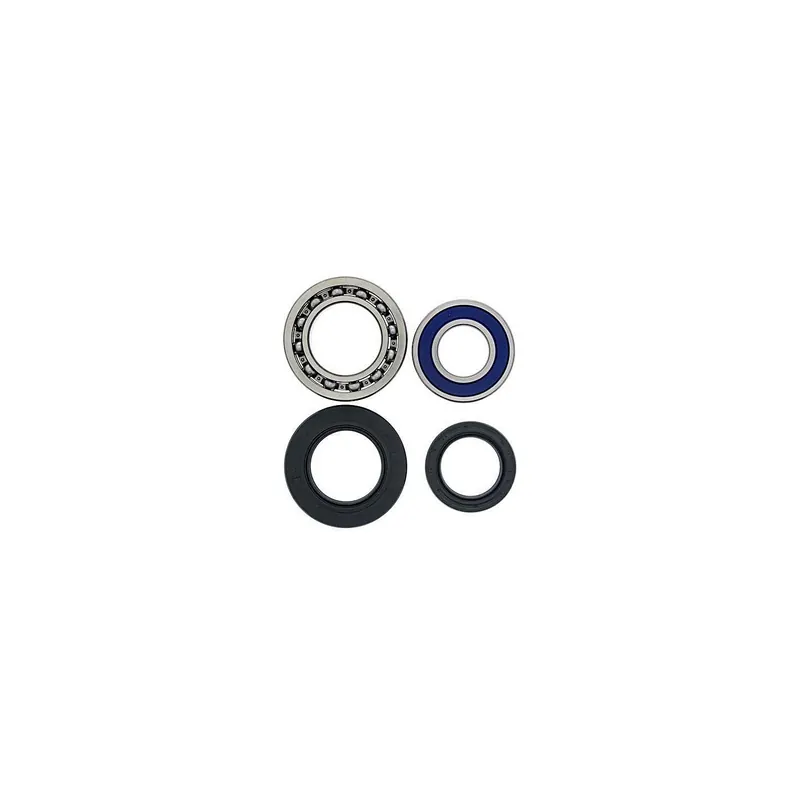 Kit de rodamientos rueda All Balls 251014