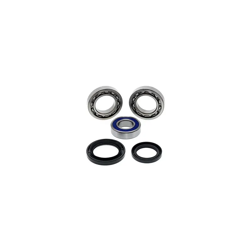 Kit de rodamientos rueda All Balls 251018