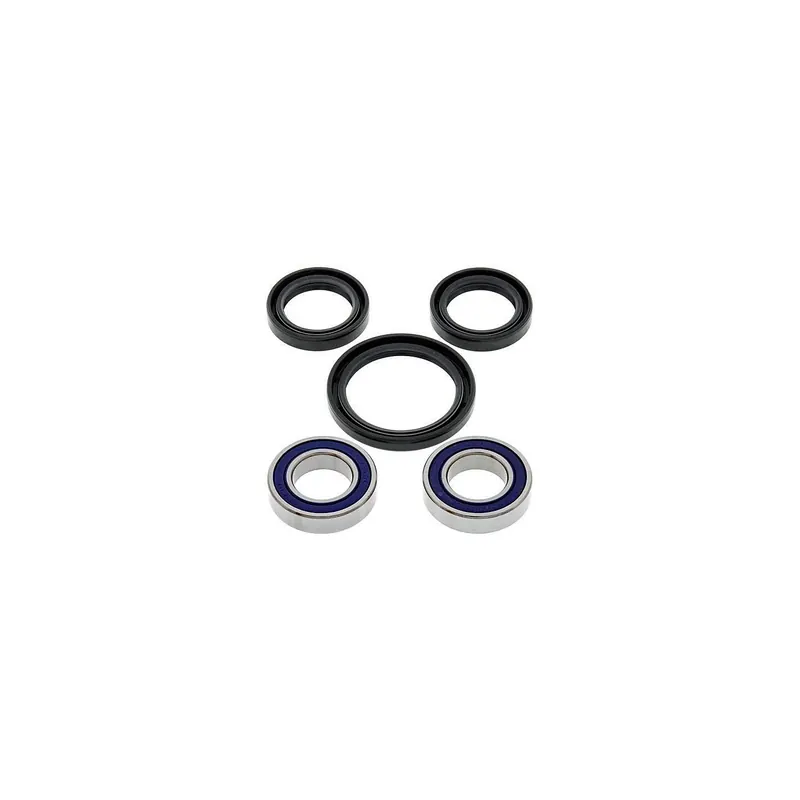 Kit de rodamientos rueda All Balls 251080