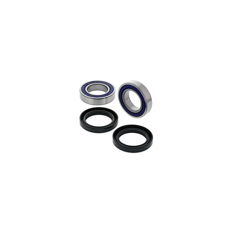 Kit de rodamientos rueda All Balls 251124