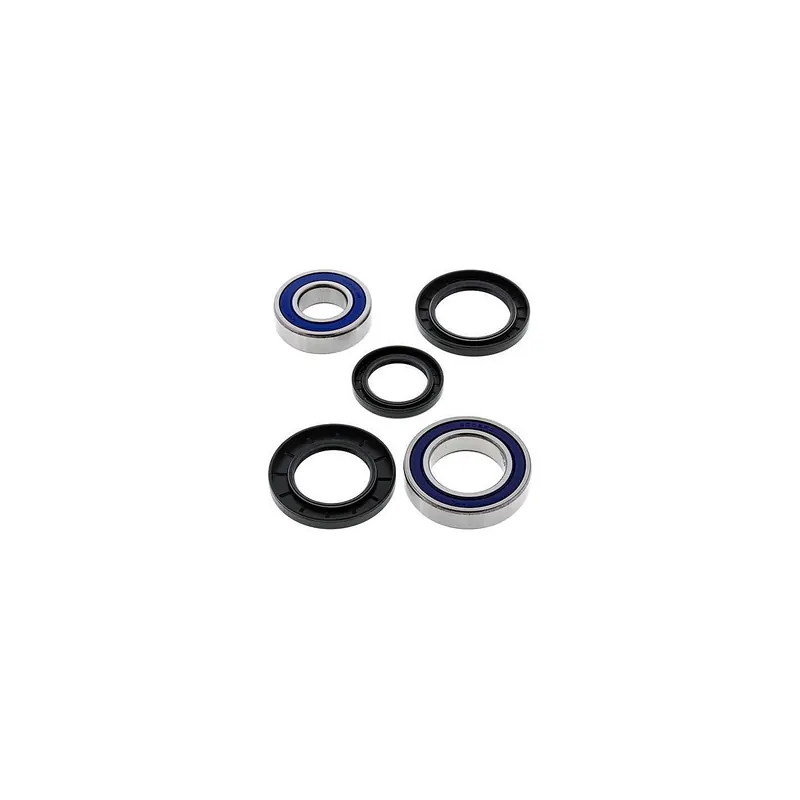 Kit de rodamientos rueda All Balls 251134