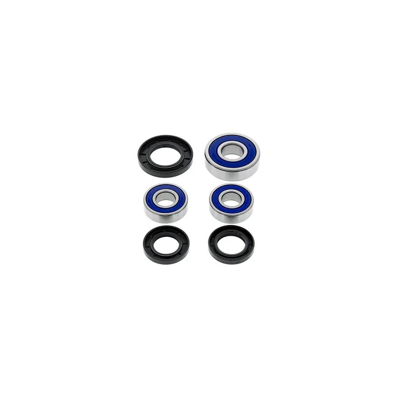 Kit de rodamientos rueda All Balls 251248