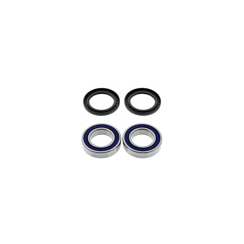 Kit de rodamientos rueda All Balls 251321