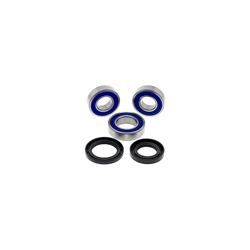 Kit de rodamientos rueda All Balls 251458