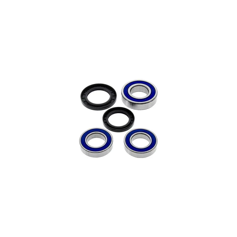 Kit de rodamientos rueda All Balls 251493