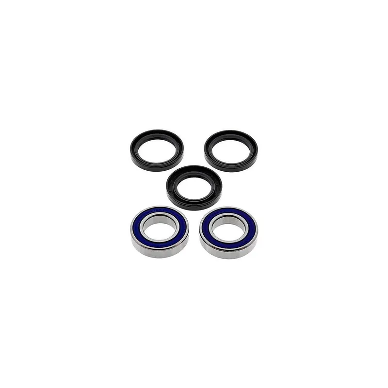 Kit de rodamientos rueda All Balls 251499