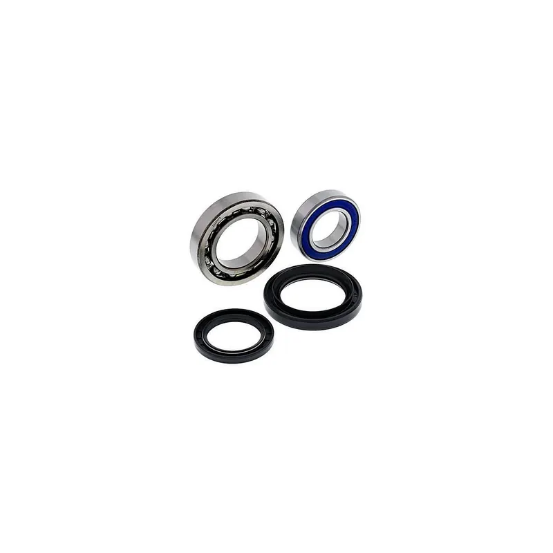 Kit de rodamientos rueda All Balls 251567