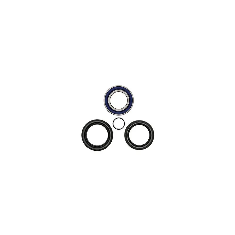 Kit de rodamientos rueda All Balls 251572
