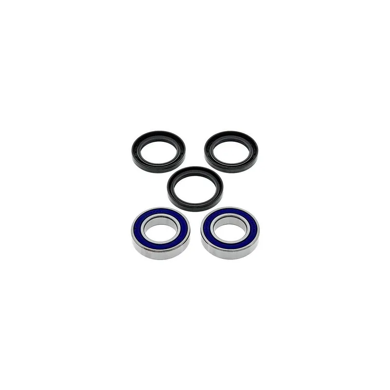 Kit de rodamientos rueda All Balls 251578