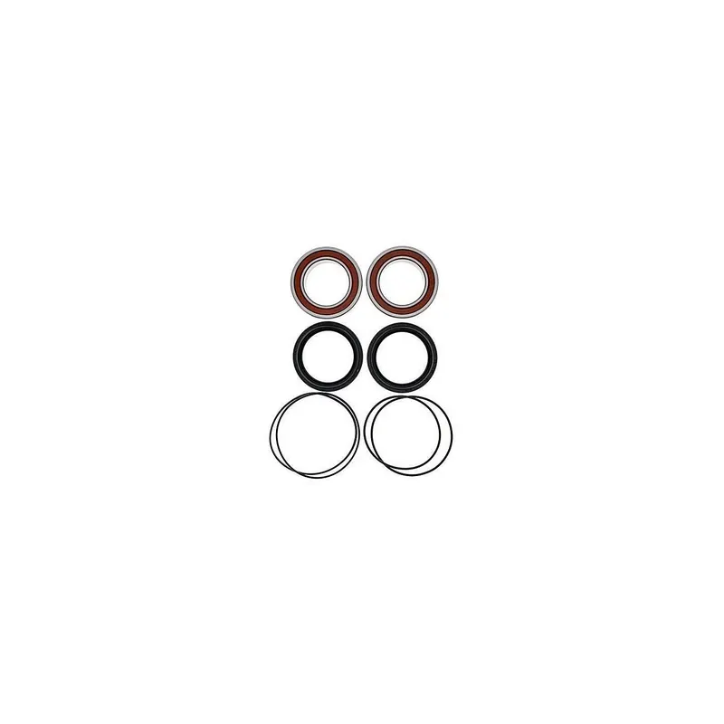 Kit de rodamientos rueda All Balls 251612