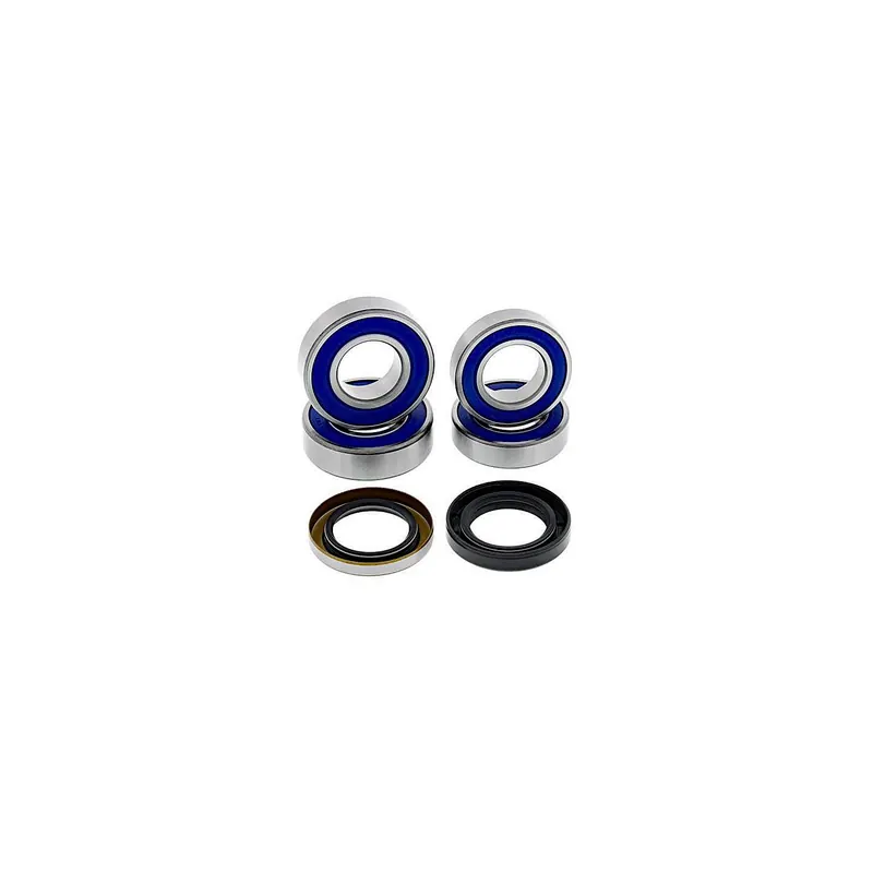 Kit de rodamientos rueda All Balls 251673