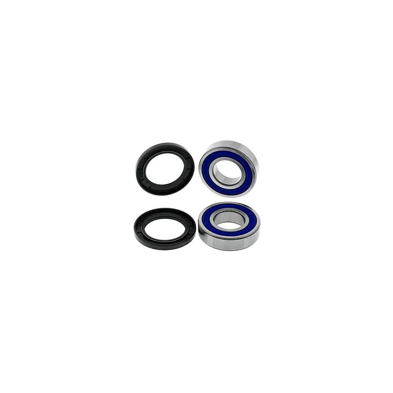 Kit de rodamientos rueda All Balls 251697
