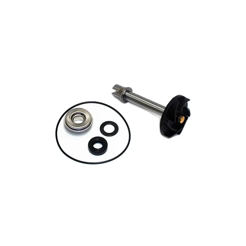 Kit Reparación Bomba De Agua Piaggio Mp3 500 - 37282012