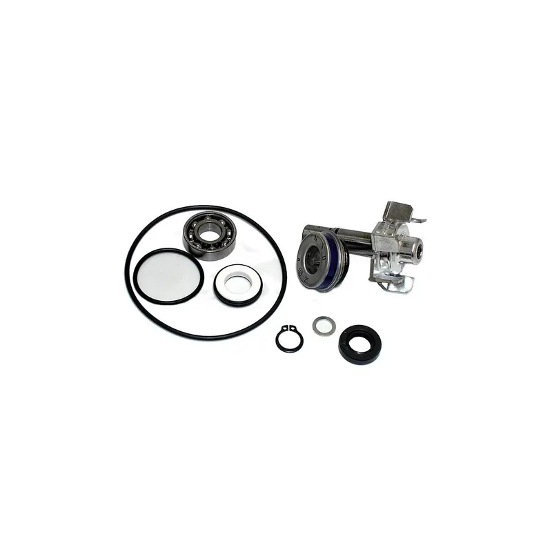 Kit Reparación Bomba De Agua T-Max 500 (01-03) - 37282017