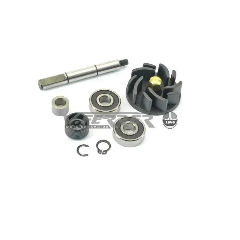 KIT REPARACIÓN BOMBA PIAGGIO HEXAGON/RUNNER 125/180CC 2T