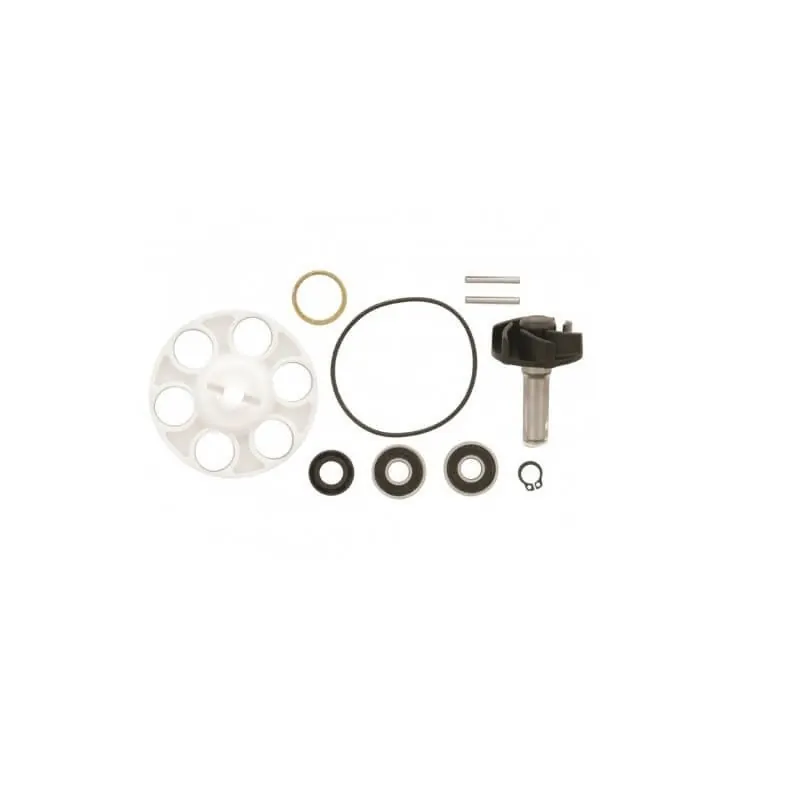 Kit reparador bomba de agua Minarelli horizontal