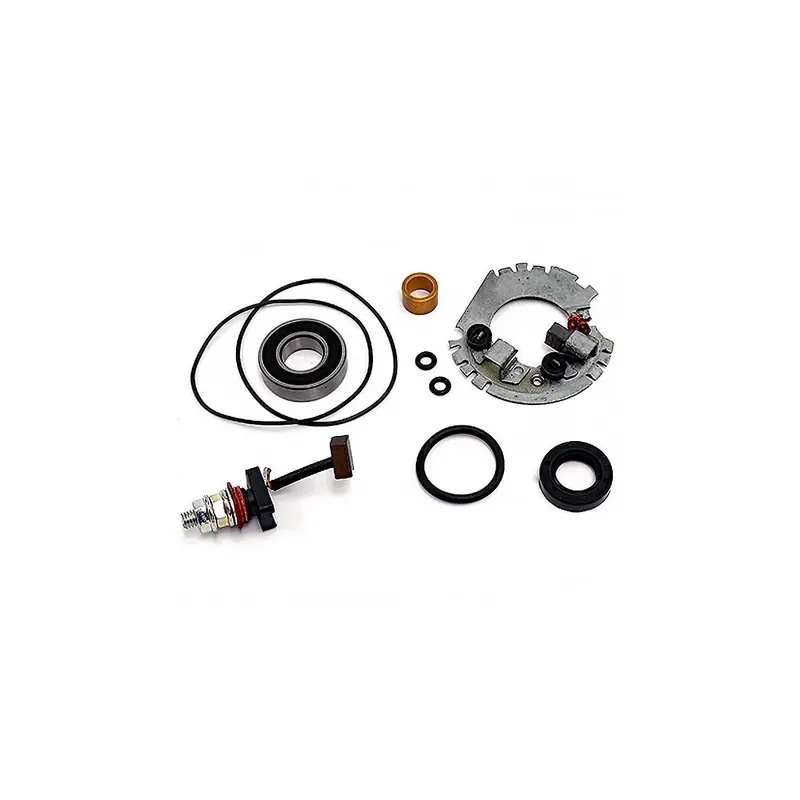 Kit Revisión Motor De Arranque Con Portaescobillas - 04178491