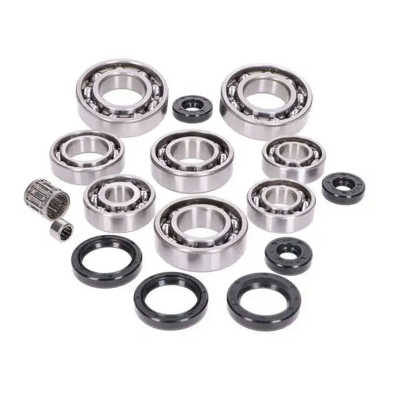 Kit Rodamientos y Retenes Motor Rotax 123cc