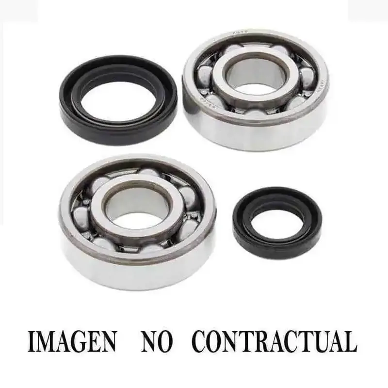 Kit rodamientos y retenes motor Suzuki RMX 50