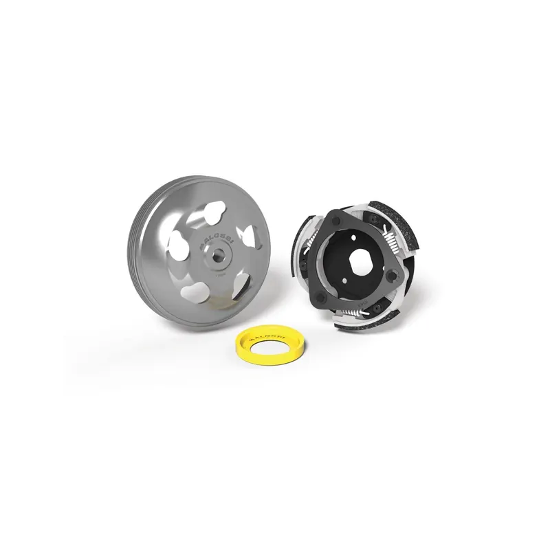 Maxi Fly System Malossi Honda Forza 125 Abs 5217911