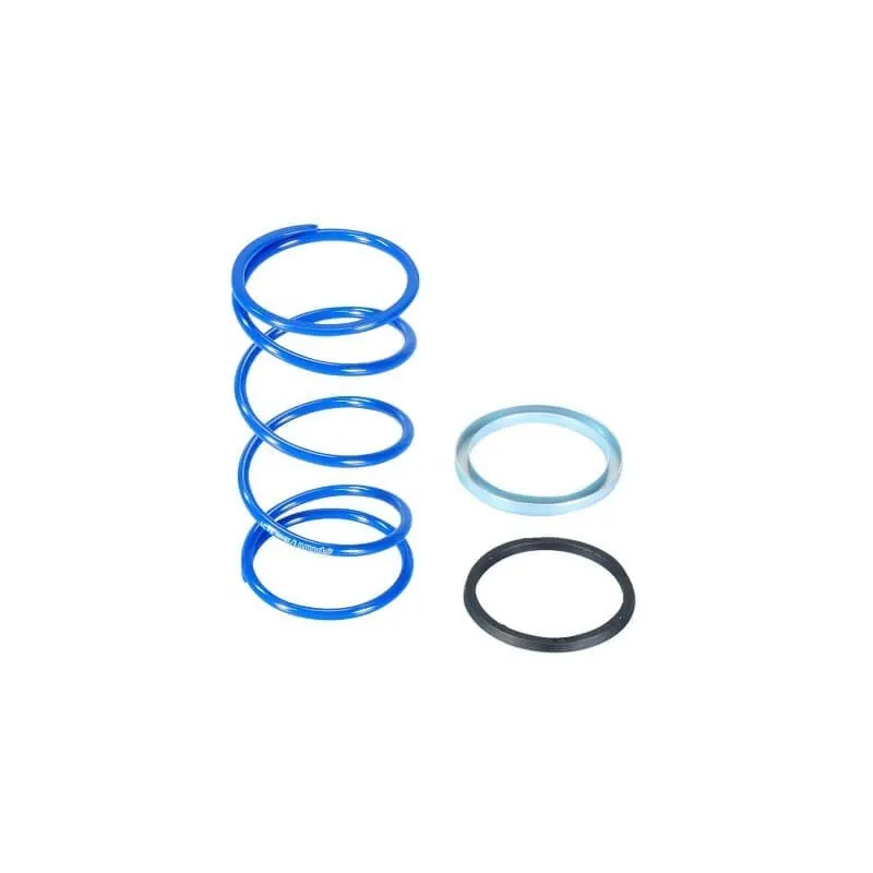Muelle de embrague Yamaha Jog Polini 34KG