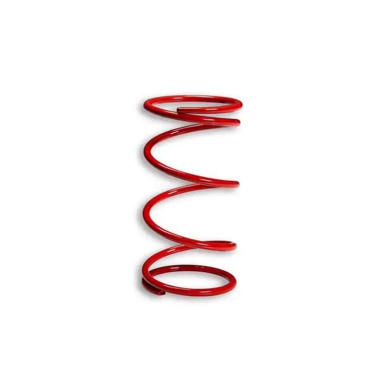 Muelle Polea Conducida Malossi Honda PCX 2916498R0