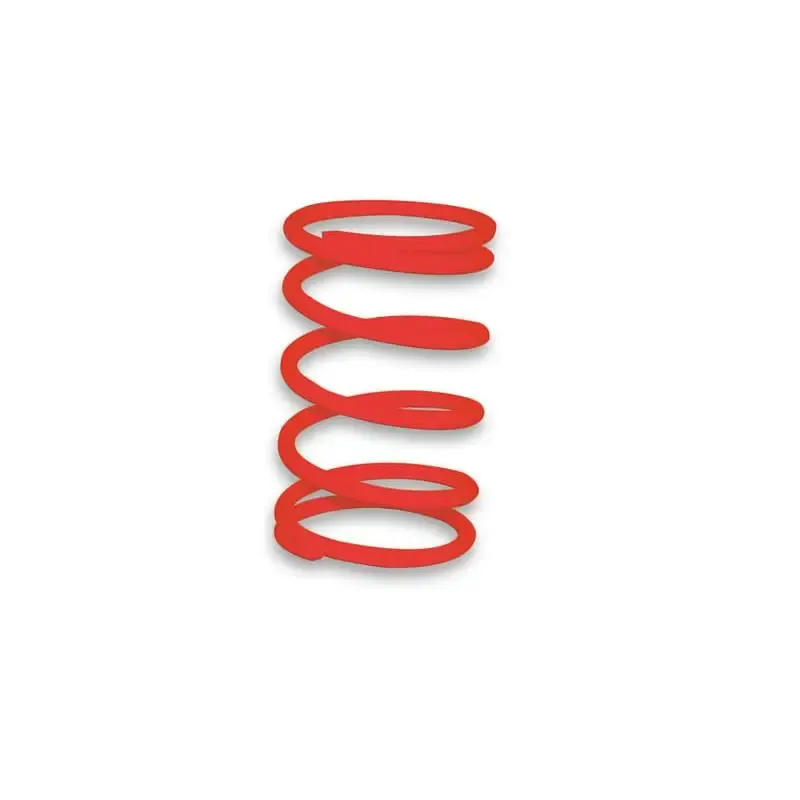 Muelle Polea Conducida Malossi Motor Leader 2916460R0