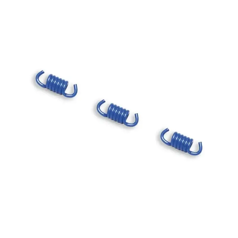 Muelles Azules Embrague Malossi MHR D.2,1 298744B
